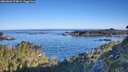 ./images/calvert/foggy-cove/20260602/foggy-cove20260602_074001M.jpg