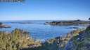 ./images/calvert/foggy-cove/20260602/foggy-cove20260602_080001M.jpg