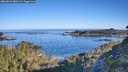 ./images/calvert/foggy-cove/20260602/foggy-cove20260602_080501M.jpg