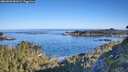 ./images/calvert/foggy-cove/20260602/foggy-cove20260602_081001M.jpg