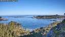./images/calvert/foggy-cove/20260602/foggy-cove20260602_081501M.jpg