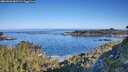 ./images/calvert/foggy-cove/20260602/foggy-cove20260602_082501M.jpg
