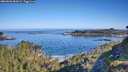 ./images/calvert/foggy-cove/20260602/foggy-cove20260602_084501M.jpg