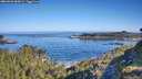 ./images/calvert/foggy-cove/20260602/foggy-cove20260602_085001M.jpg