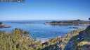 ./images/calvert/foggy-cove/20260602/foggy-cove20260602_085501M.jpg