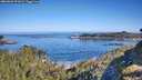 ./images/calvert/foggy-cove/20260602/foggy-cove20260602_091002M.jpg