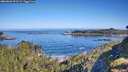 ./images/calvert/foggy-cove/20260602/foggy-cove20260602_091501M.jpg