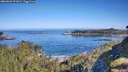 ./images/calvert/foggy-cove/20260602/foggy-cove20260602_092002M.jpg