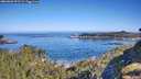 ./images/calvert/foggy-cove/20260602/foggy-cove20260602_092501M.jpg