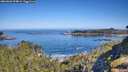 ./images/calvert/foggy-cove/20260602/foggy-cove20260602_094001M.jpg
