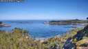 ./images/calvert/foggy-cove/20260602/foggy-cove20260602_095001M.jpg
