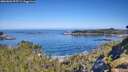 ./images/calvert/foggy-cove/20260602/foggy-cove20260602_095501M.jpg