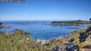 ./images/calvert/foggy-cove/20260602/foggy-cove20260602_100501M.jpg