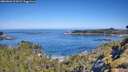 ./images/calvert/foggy-cove/20260602/foggy-cove20260602_101002M.jpg