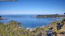 ./images/calvert/foggy-cove/20260602/foggy-cove20260602_101501M.jpg