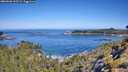 ./images/calvert/foggy-cove/20260602/foggy-cove20260602_102501M.jpg