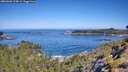 ./images/calvert/foggy-cove/20260602/foggy-cove20260602_103001M.jpg