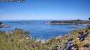 ./images/calvert/foggy-cove/20260602/foggy-cove20260602_103501M.jpg