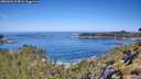 ./images/calvert/foggy-cove/20260602/foggy-cove20260602_104001M.jpg