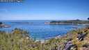./images/calvert/foggy-cove/20260602/foggy-cove20260602_104501M.jpg