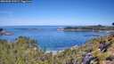 ./images/calvert/foggy-cove/20260602/foggy-cove20260602_105001M.jpg