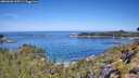 ./images/calvert/foggy-cove/20260602/foggy-cove20260602_105501M.jpg