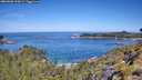 ./images/calvert/foggy-cove/20260602/foggy-cove20260602_110001M.jpg