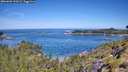 ./images/calvert/foggy-cove/20260602/foggy-cove20260602_110501M.jpg