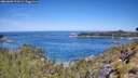 ./images/calvert/foggy-cove/20260602/foggy-cove20260602_111001M.jpg