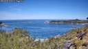 ./images/calvert/foggy-cove/20260602/foggy-cove20260602_111501M.jpg