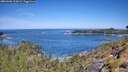 ./images/calvert/foggy-cove/20260602/foggy-cove20260602_112001M.jpg