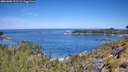 ./images/calvert/foggy-cove/20260602/foggy-cove20260602_112502M.jpg