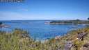 ./images/calvert/foggy-cove/20260602/foggy-cove20260602_113002M.jpg