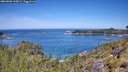 ./images/calvert/foggy-cove/20260602/foggy-cove20260602_115001M.jpg