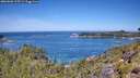 ./images/calvert/foggy-cove/20260602/foggy-cove20260602_115501M.jpg