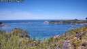 ./images/calvert/foggy-cove/20260602/foggy-cove20260602_120501M.jpg