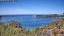 ./images/calvert/foggy-cove/20260602/foggy-cove20260602_122002M.jpg