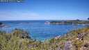 ./images/calvert/foggy-cove/20260602/foggy-cove20260602_122501M.jpg