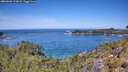 ./images/calvert/foggy-cove/20260602/foggy-cove20260602_123001M.jpg