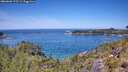 ./images/calvert/foggy-cove/20260602/foggy-cove20260602_123501M.jpg