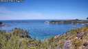 ./images/calvert/foggy-cove/20260602/foggy-cove20260602_124001M.jpg