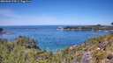 ./images/calvert/foggy-cove/20260602/foggy-cove20260602_124501M.jpg