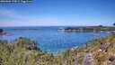 ./images/calvert/foggy-cove/20260602/foggy-cove20260602_125001M.jpg