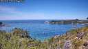 ./images/calvert/foggy-cove/20260602/foggy-cove20260602_125501M.jpg