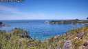 ./images/calvert/foggy-cove/20260602/foggy-cove20260602_130001M.jpg