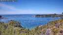 ./images/calvert/foggy-cove/20260602/foggy-cove20260602_130501M.jpg