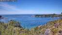 ./images/calvert/foggy-cove/20260602/foggy-cove20260602_131001M.jpg