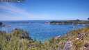 ./images/calvert/foggy-cove/20260602/foggy-cove20260602_131501M.jpg