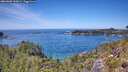 ./images/calvert/foggy-cove/20260602/foggy-cove20260602_132001M.jpg