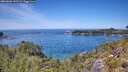 ./images/calvert/foggy-cove/20260602/foggy-cove20260602_132501M.jpg